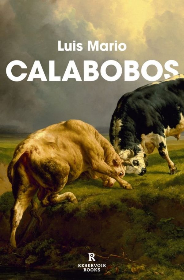 978841035209 Calabobos